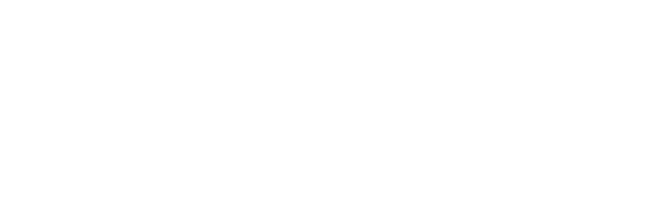 Ecal